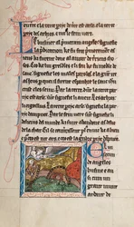 Ms65 f28r, Commentaire sur l