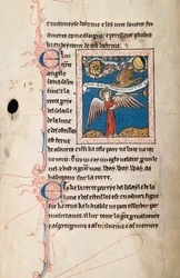 Ms65 f29v, Commentaire sur l