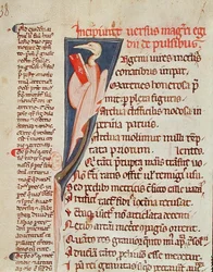 Ms 2046 fol.438 Un oiseau tenant un livre par Gilles de Corbeil (1165-1222) de 