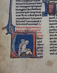 Ms 2510 Auscultation d