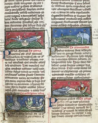 Ms 320 Fol.116 Monstres marins, de 
