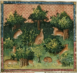 Ms Fr 616 fol.24v Lièvres dans un bois, du Livre de la Chasse par Gaston Phébus de Foix