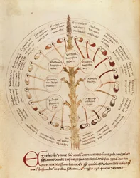 Ms Lat 11229 fol.19r Tableau pour l