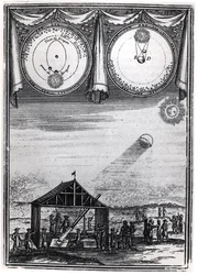 Observation d