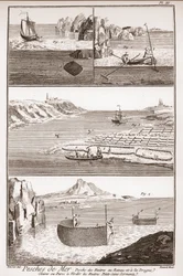 Pêche aux huîtres - « L