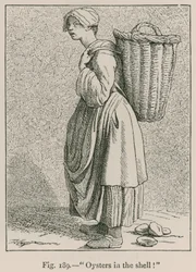 Huîtres en coquille!