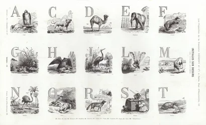 Page de Vignettes Typographiques (gravure)