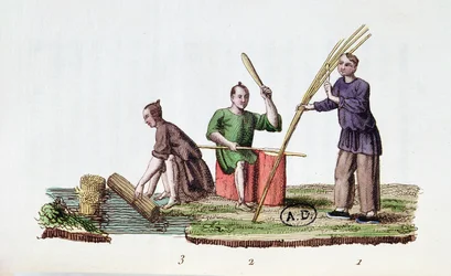 Fabrication de papier à partir de bambou, de La Chine en Miniatures par M. Breton, publié à Paris, 1811