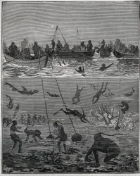 Pêcheurs de perles à Ceylan (Sri Lanka actuel) au XIXe siècle. Gravure de 1885 dans « Les arts et métiers illustrés » par Adolphe Bitard.