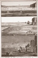 Pêche de mer - Trameau - Pêche aux oiseaux aquatiques - « La Grande Encyclopédie, ou Dictionnaire Raisonné des Sciences, des Arts et des Métiers » par Denis Diderot (1713-1784) et Jean d