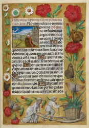 Psaumes pénitentiels. Pied du folio : femme poussant une brouette portant un grand œillet poussant d