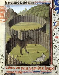 Piège à loup - dans "Livre de chasse de Gaston Phoebus, Comte de Foix, Seigneur de Béarn"