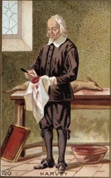 Portrait de William Harvey (1578-1657), médecin anglais