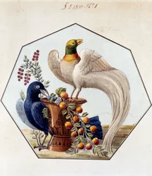 Projet pour la table des oiseaux en porcelaine par Alexandre Brongniart (1770-1847). 1810 Sèvres, archives de la Manufacture de Sèvres