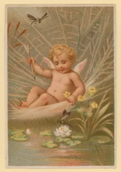 Putto jouant