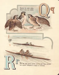Q A : Caille, quatuor, rat, course
