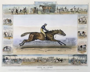 Cheval de course dans "Histoire pittoresque de l