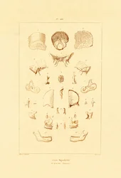 Squelette, 1833-39