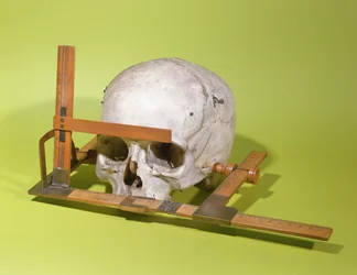 Crâne dans un goniomètre facial construit par Paul Broca (1824-88) (bois et cuivre)