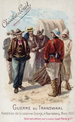 Reddition de la colonne de Piet Cronje aux Britanniques, Paardeberg, mars 1900