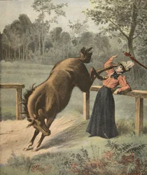Coup terrible, illustration du Petit Journal : Supplément illustré, 3 juillet 1898
