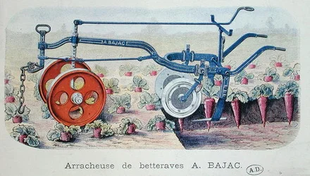 La machine Bajac pour soulever les betteraves, vers 1900