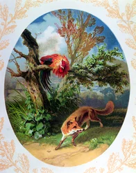Le Coq et le Renard, illustration d