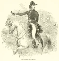 Le Duc de Wellington