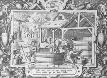 La récolte du vin