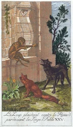 Le Loup, le Renard et le Singe, des 