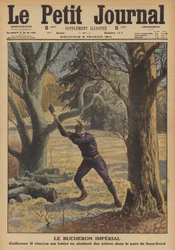 Le bûcheron impérial