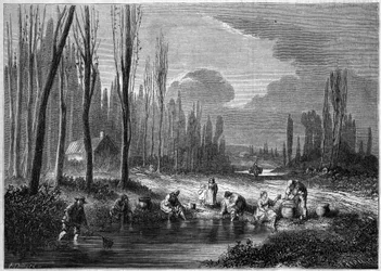 La pêche aux sangsues dans les environs de Versailles