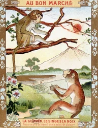 Le singe et la noix (Fable de La Fontaine) - vignette publicitaire du Bon Marché