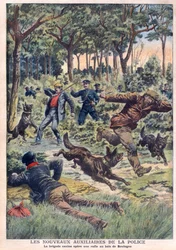 Les nouveaux auxiliaires de la police : la brigade canine effectue une rafle au Bois de Boulogne, illustration du "Le Petit Journal" du 28 juillet