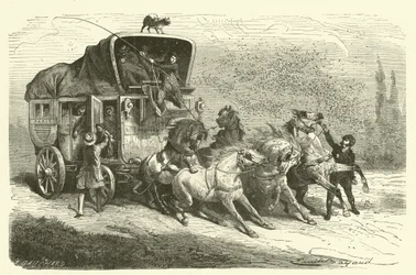 La pluie de coléoptères (gravure)
