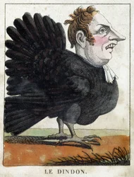 La dinde en caricature, étude de caractère « caractère volatile »
