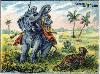 Scène de chasse au tigre sur le dos d