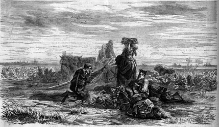 Culture du tabac : la récolte. Gravure dans « Le Monde Illustré » n°155 du 31 mars