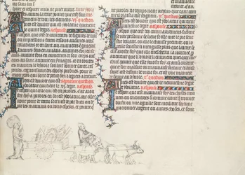 Transport des biens dans une charrette tirée par des bœufs, miniature inachevée de la Bible de Jean de Sy, c.1355