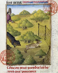 Piège pour lièvre et chiens de chasse - dans "Livre de chasse de Gaston Phoebus, Comte de Foix, Seigneur de Béarn"