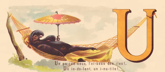 Un paresseux, l