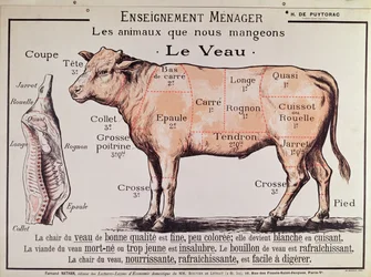 Veau : diagramme représentant les différentes coupes de viande