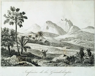 Vue d
