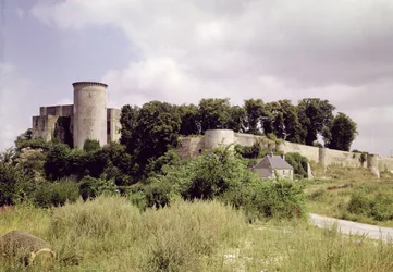 Vue de la Tour de Talbot et du donjon du château