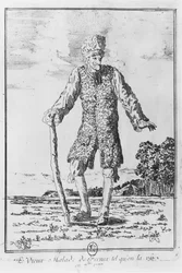 Voltaire à Ferney : 