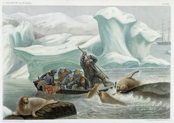 Chasse au morse - dans « Le monde de la mer » par Alfred Fredol, Hachette, Paris