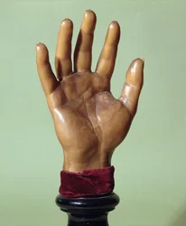 Moulage en cire de la main de Jean-Baptiste Troppmann (1848-1970) 1869 (cire)