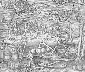 Pêche à la baleine, Illustration de la "Cosmographie Universelle", par André de Thevet