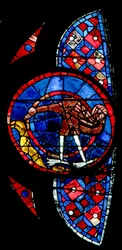La Création des oiseaux - un oiseau inhabituel