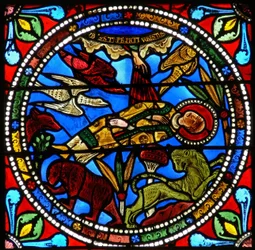 Fenêtre wXVII représentant le corps mort de Saint Étienne laissé aux animaux (?)